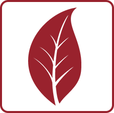 Leaf Icon